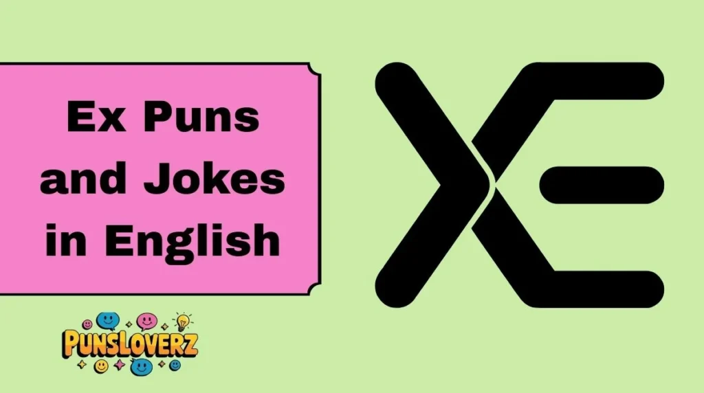 Ex Puns and Jokes in English