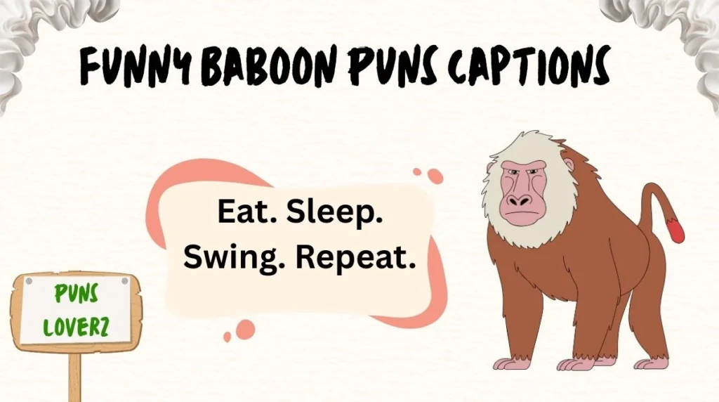 Funny Baboon Puns Captions