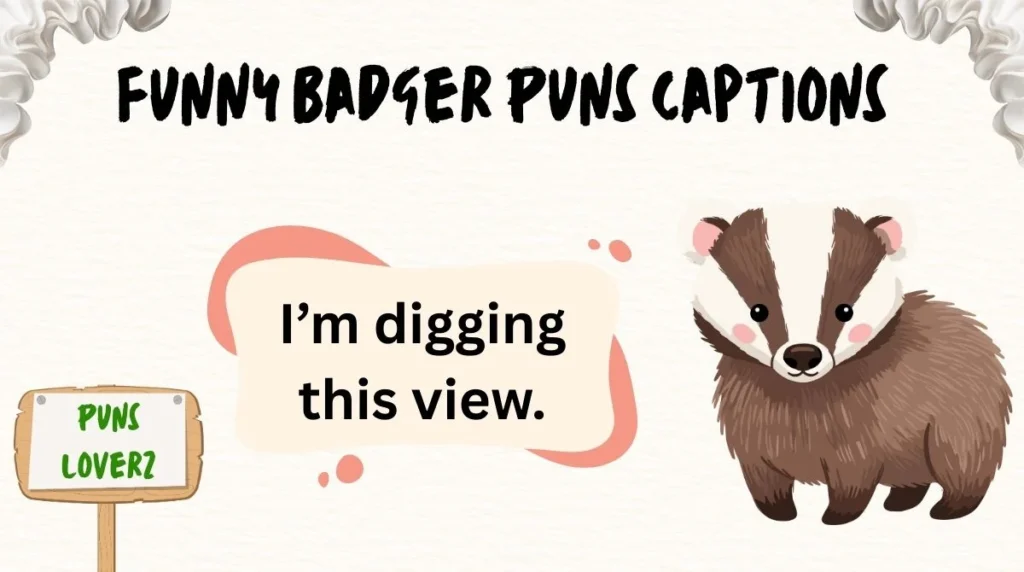 Funny Badger Puns Captions
