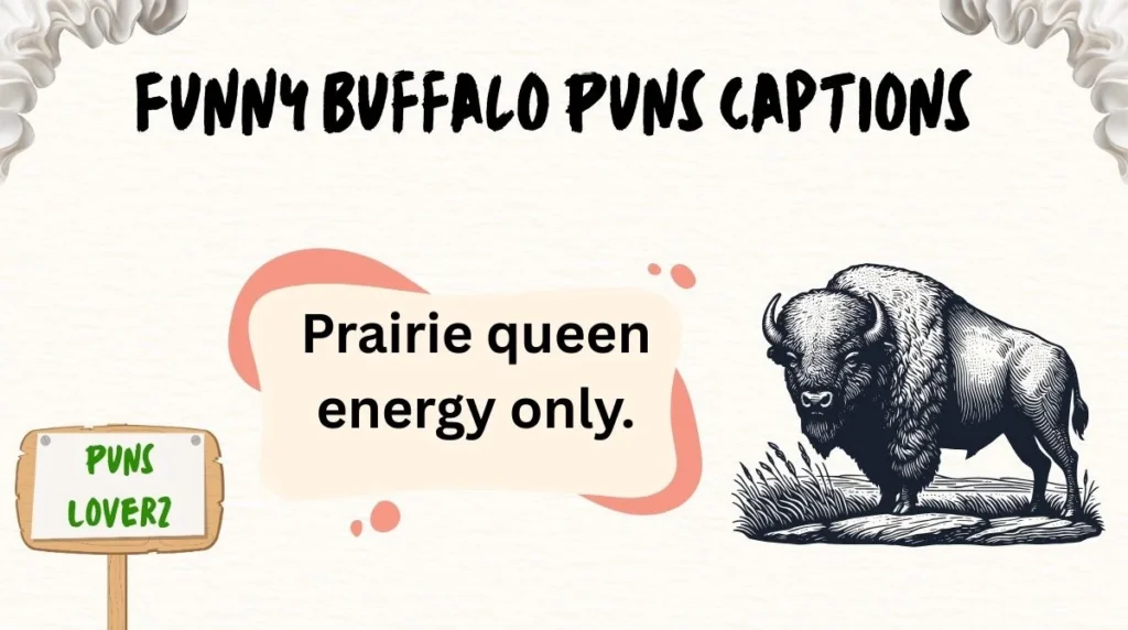 Funny Buffalo Puns Captions