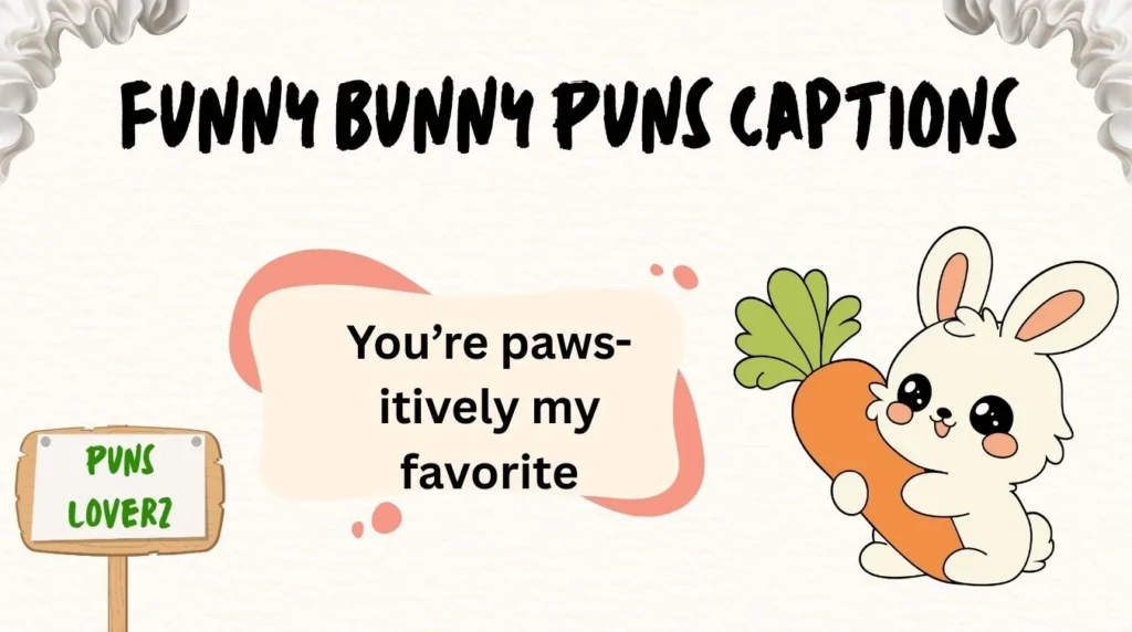 Funny Bunny Puns Captions