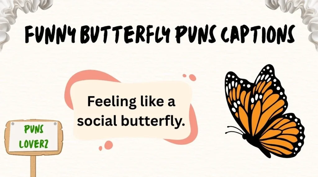 Funny Butterfly Puns Captions