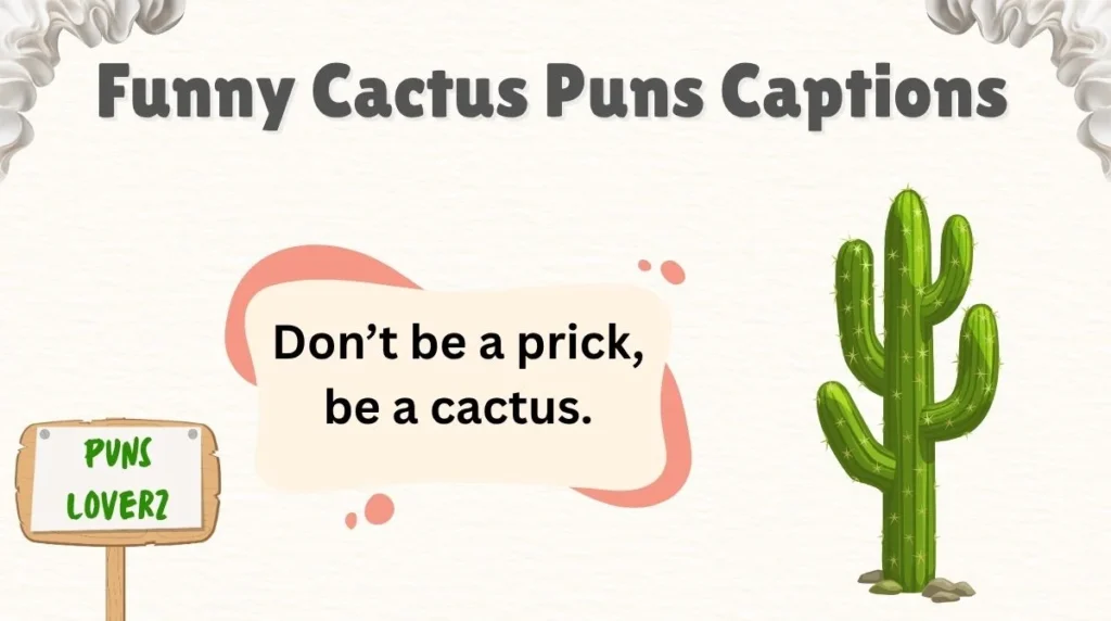 Funny Cactus Puns Captions