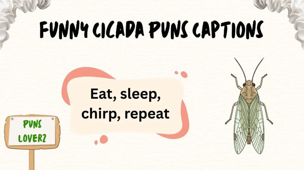 Funny Cicada Puns Captions