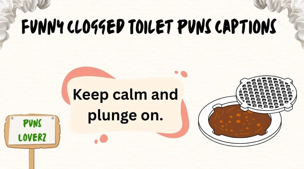Funny Clogged Toilet Puns Captions