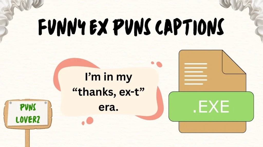 Funny Ex Puns Captions