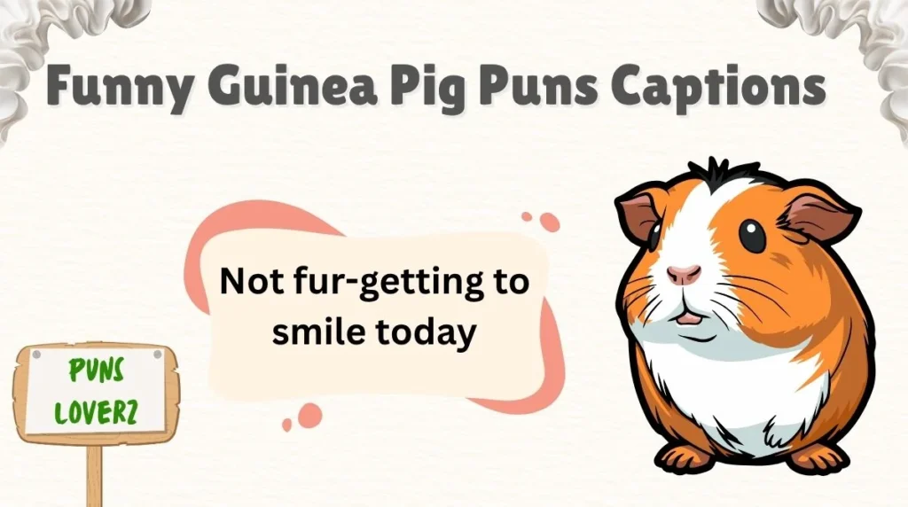 Funny Guinea Pig Puns Captions