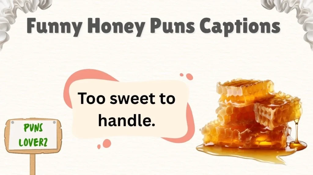 Funny Honey Puns Captions