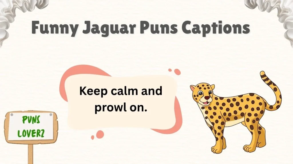 Funny Jaguar Puns Captions