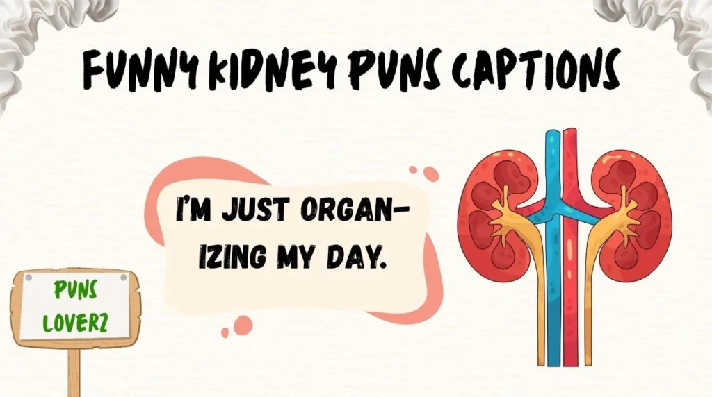 Funny Kidney Puns Captions