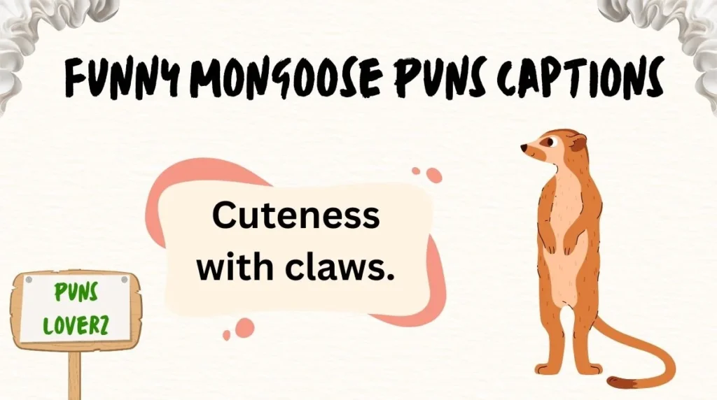 Funny Mongoose Puns Captions
