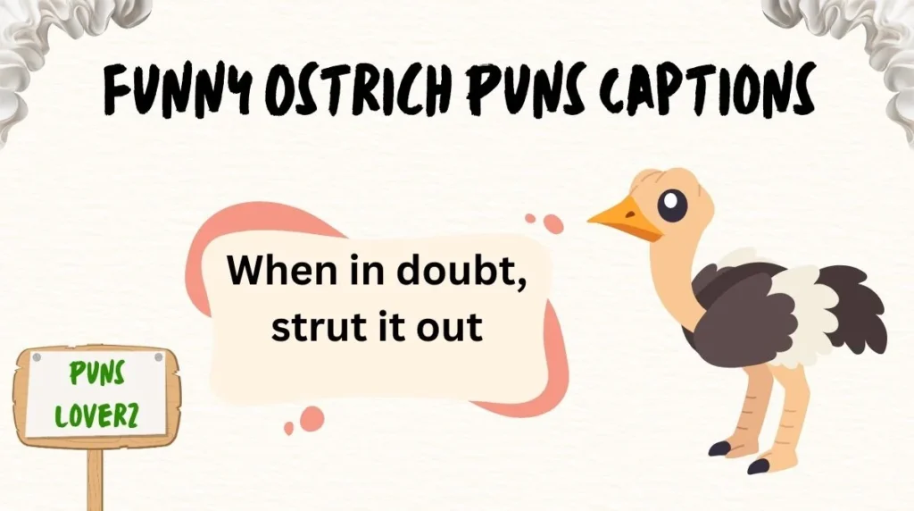 Funny Ostrich Puns Captions