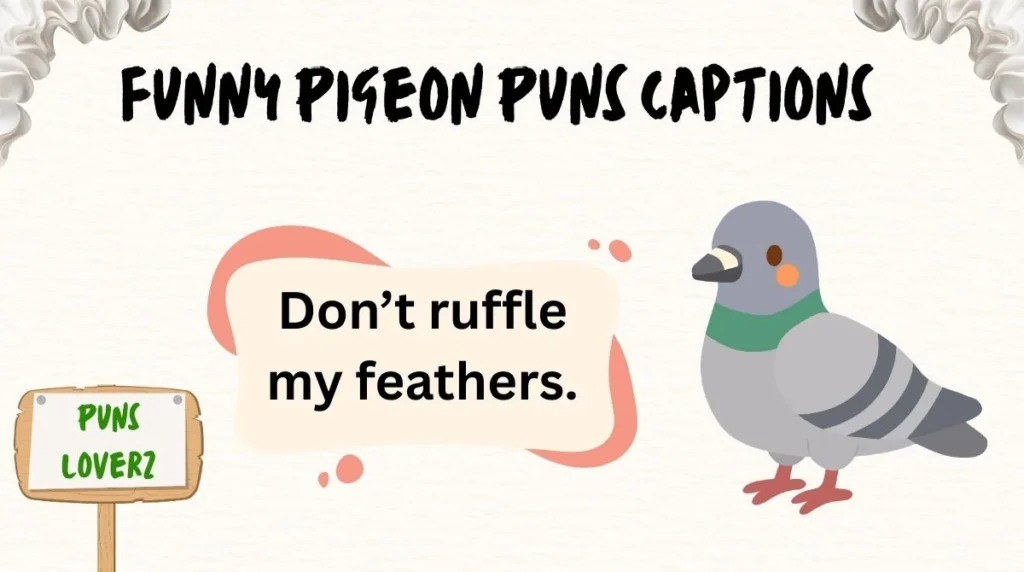 Funny Pigeon Puns Captions