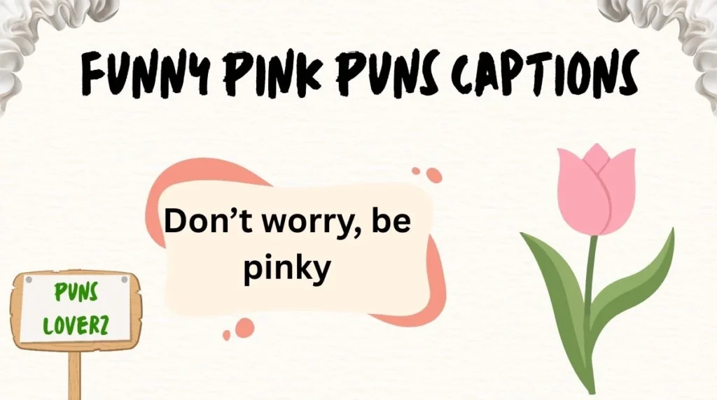 Funny Pink Puns Captions