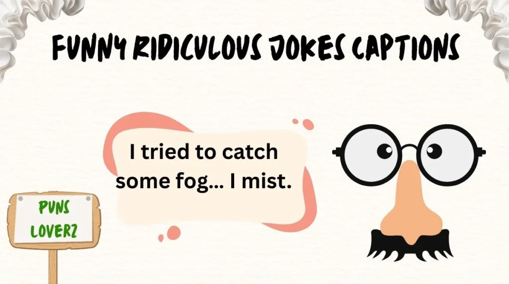 Funny Ridiculous Jokes Captions