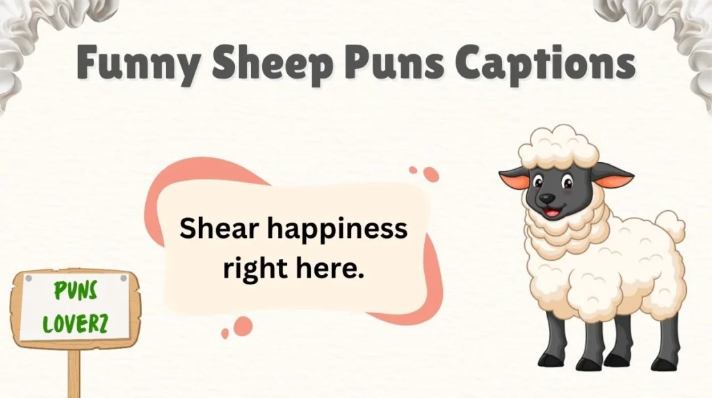 Funny Sheep Puns Captions