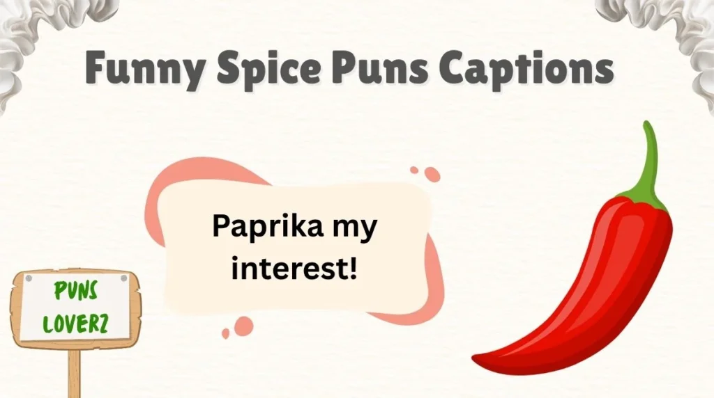 Funny Spice Puns Captions