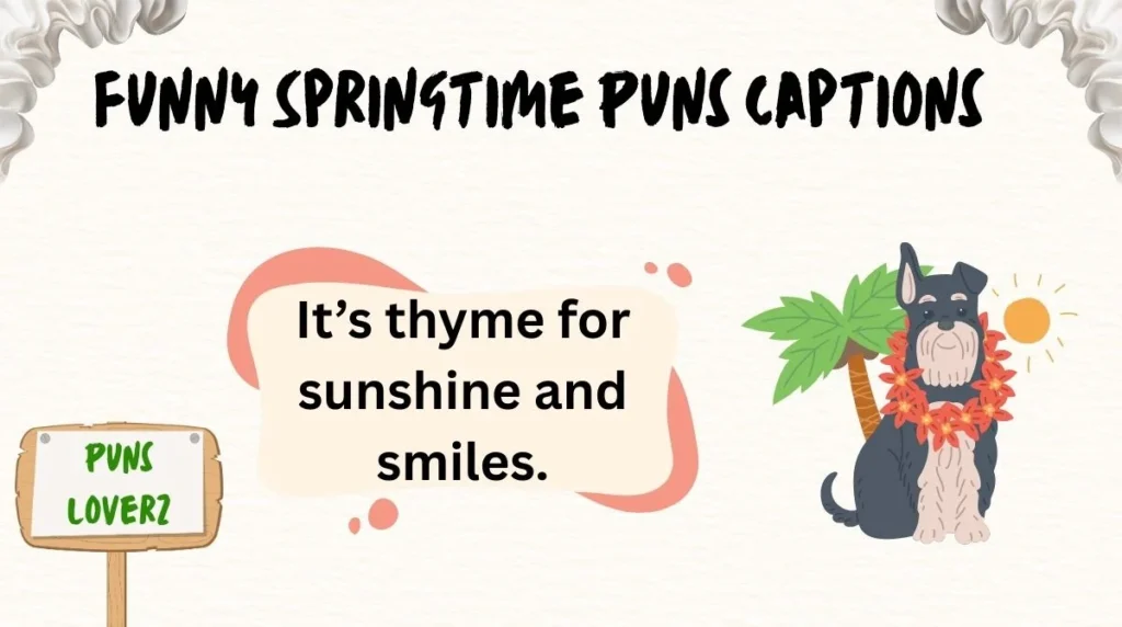 Funny Springtime Puns Captions