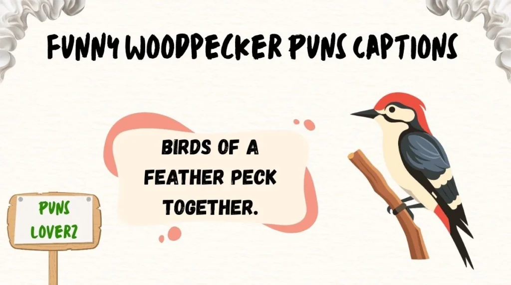 Funny Woodpecker Puns Captions