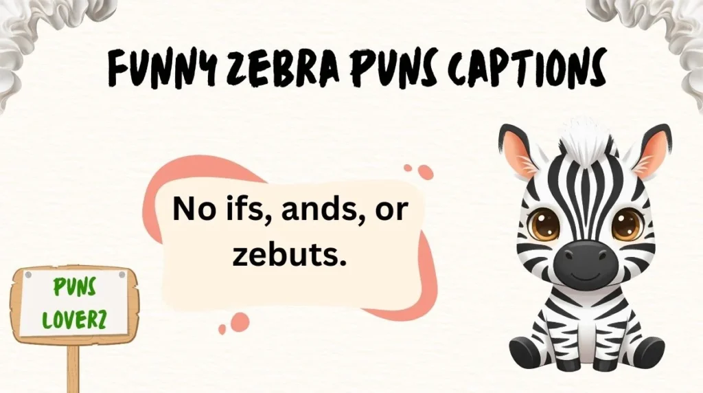 Funny Zebra Puns Captions