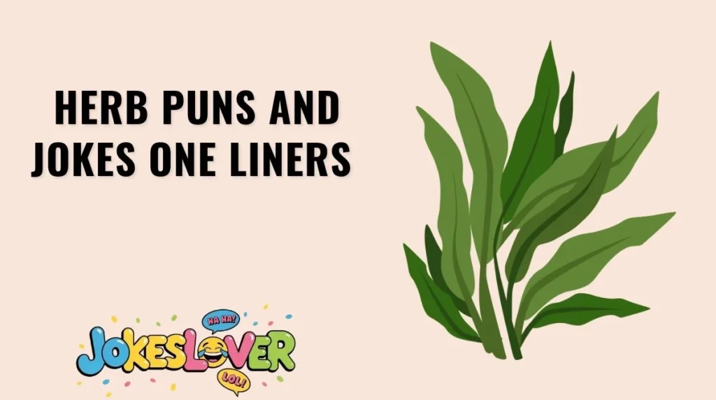 Herb Puns and Jokes One Liners