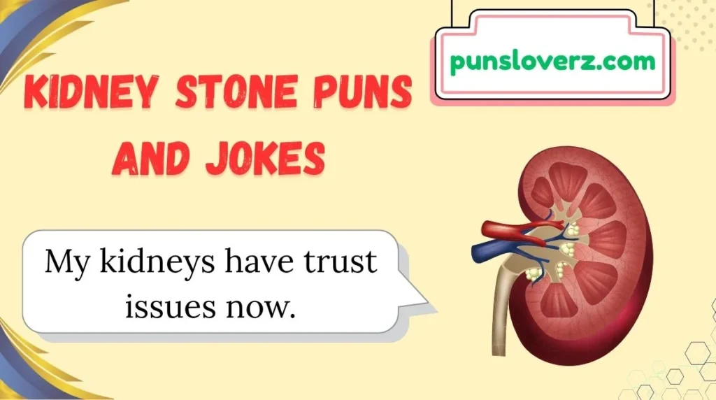 Kidney Stone Puns and Jokes