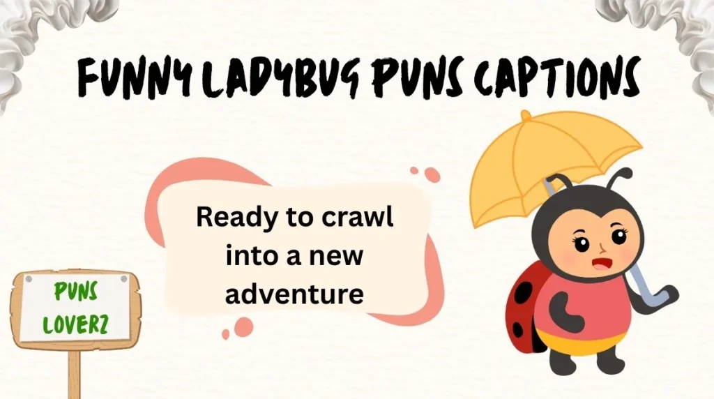 Funny Ladybug Puns Captions