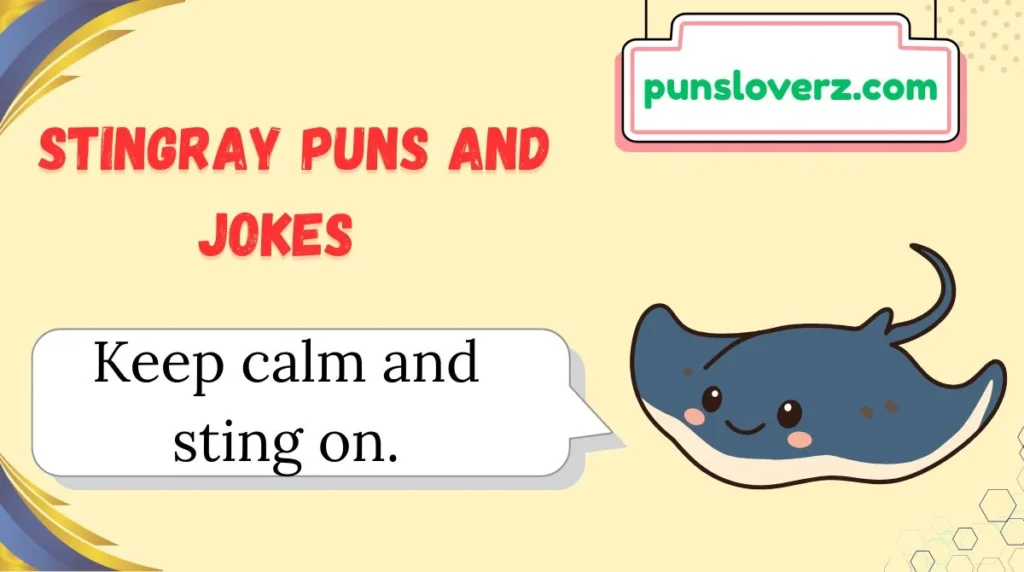 Stingray Puns and Jokes