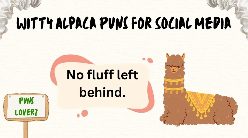Witty Alpaca Puns for Social Media