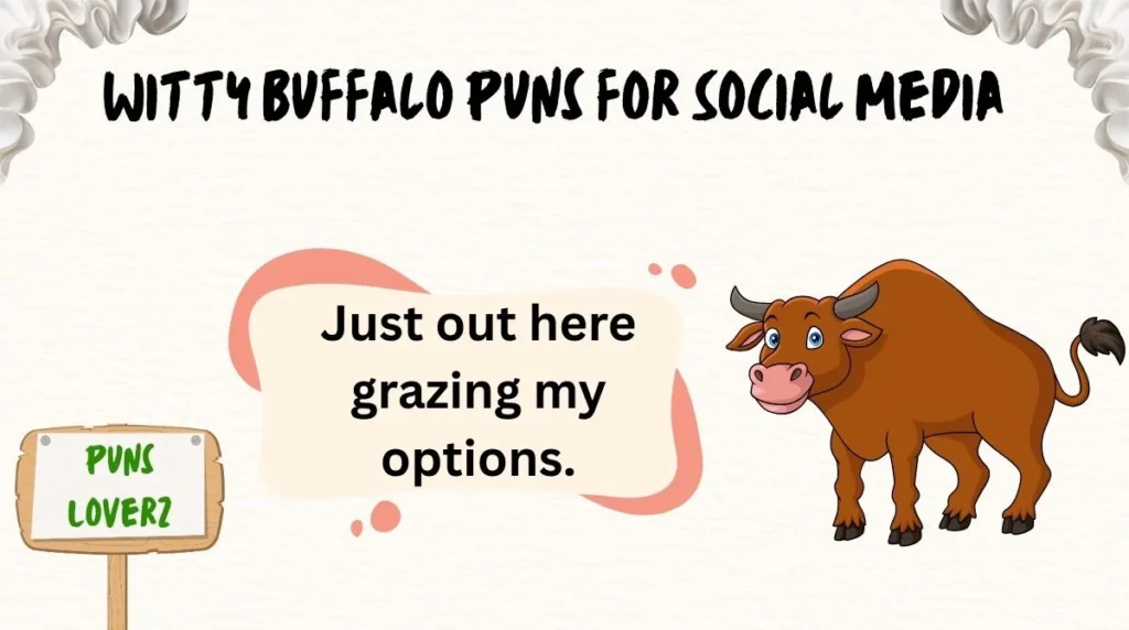 Witty Buffalo Puns for Social Media
