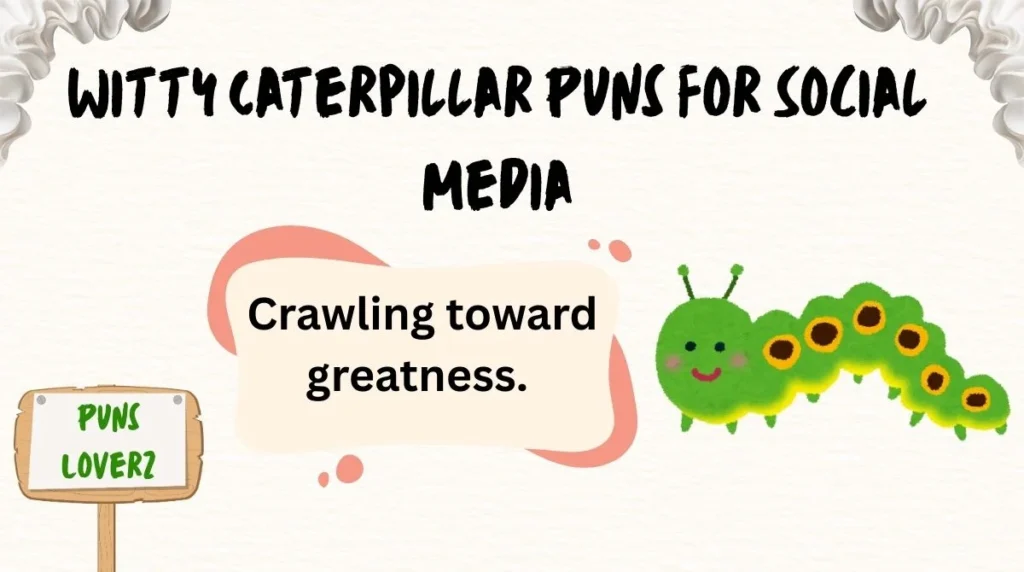 Witty Caterpillar Puns for Social Media
