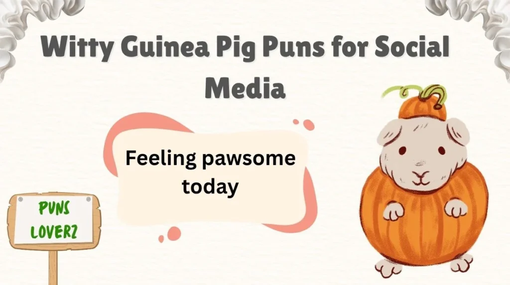 Witty Guinea Pig Puns for Social Media