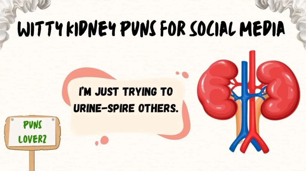 Witty Kidney Puns for Social Media