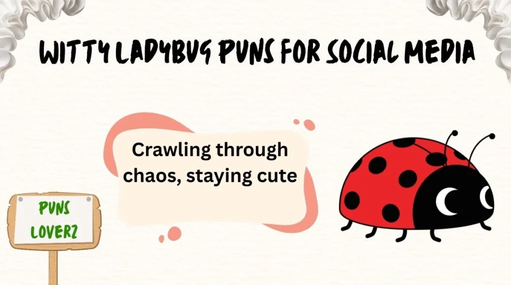 Witty Ladybug Puns for Social Media