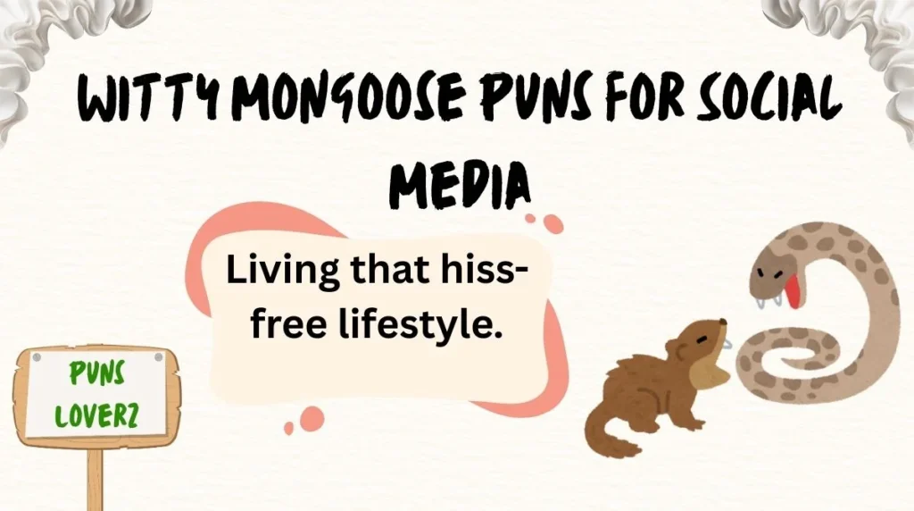 Witty Mongoose Puns for Social Media