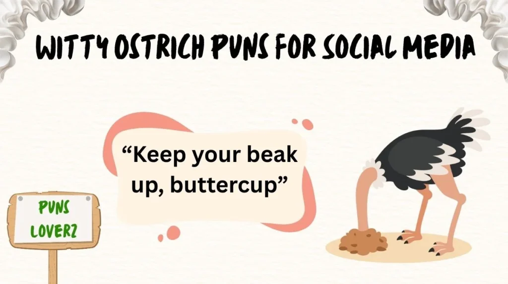 Witty Ostrich Puns for Social Media