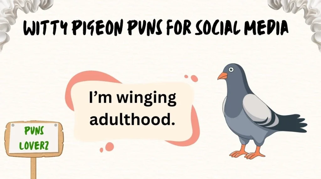 Witty Pigeon Puns for Social Media