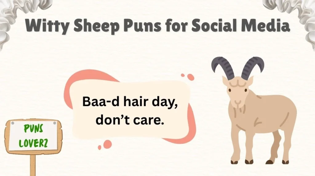 Witty Sheep Puns for Social Media