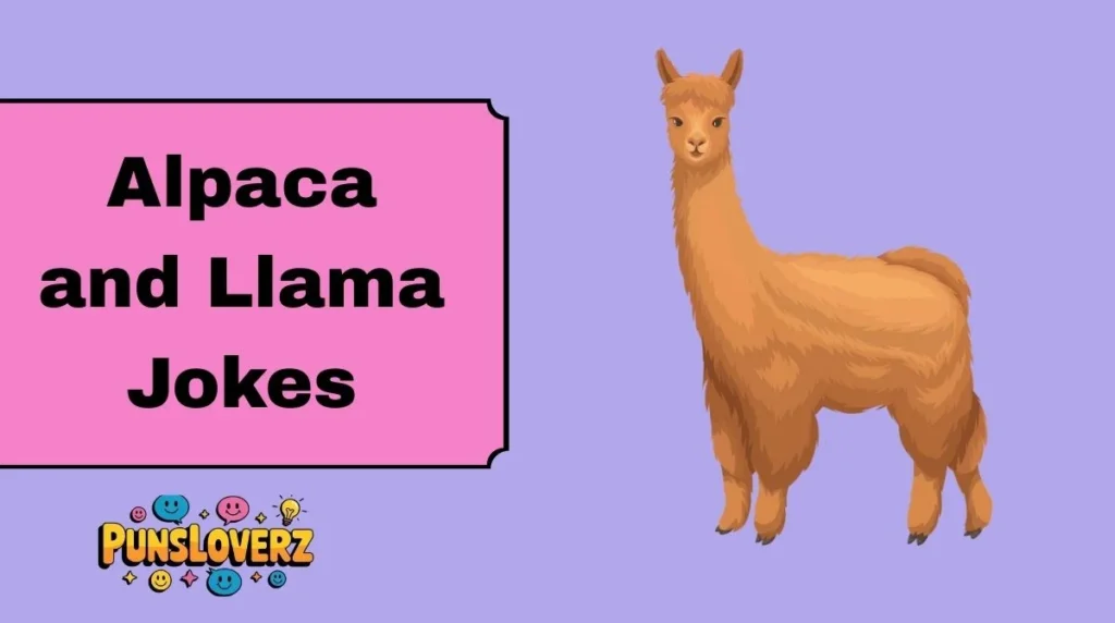 Alpaca and Llama Jokes