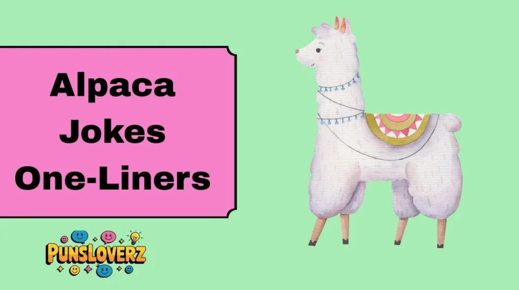Alpaca Jokes One-Liners