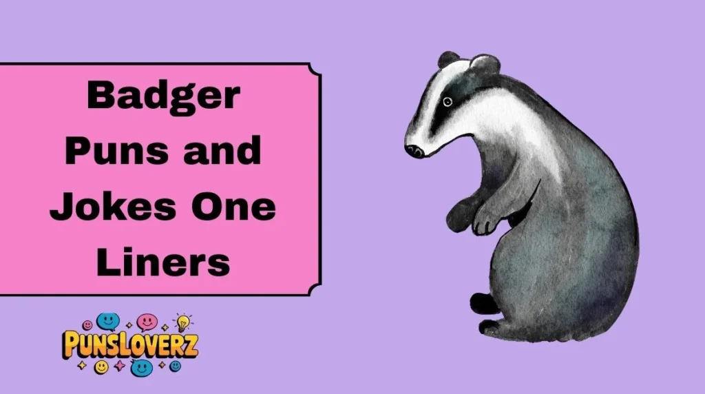 Badger Puns and Jokes One Liners