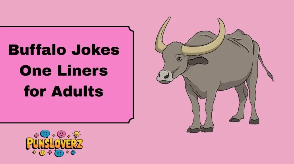 Buffalo Jokes One Liners for Adults