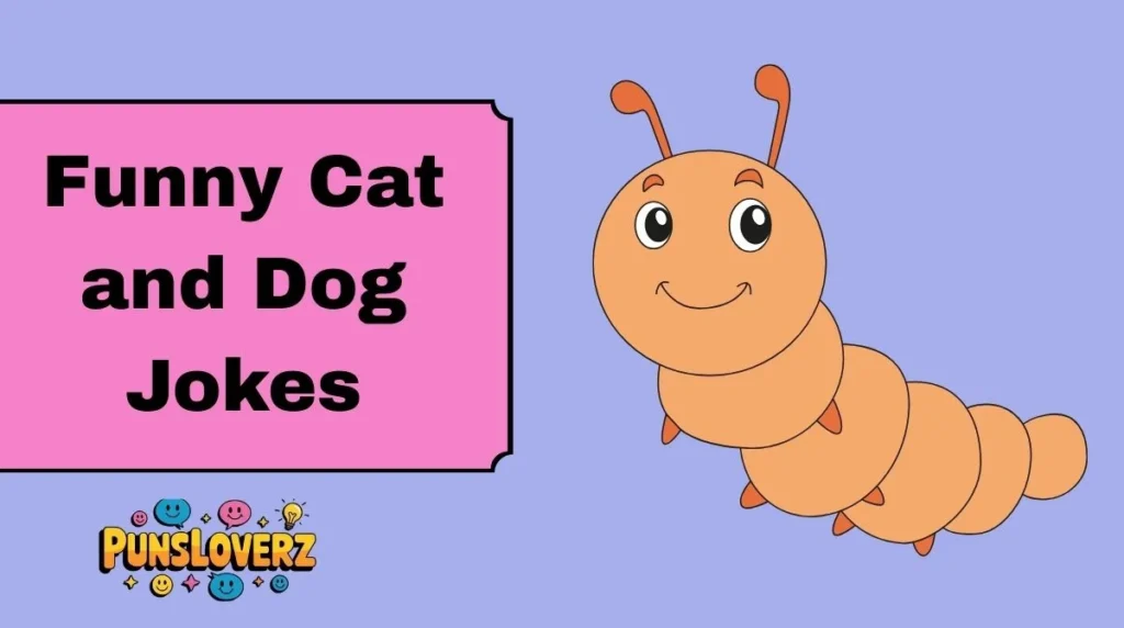 Funny Cat and Dog Jokes