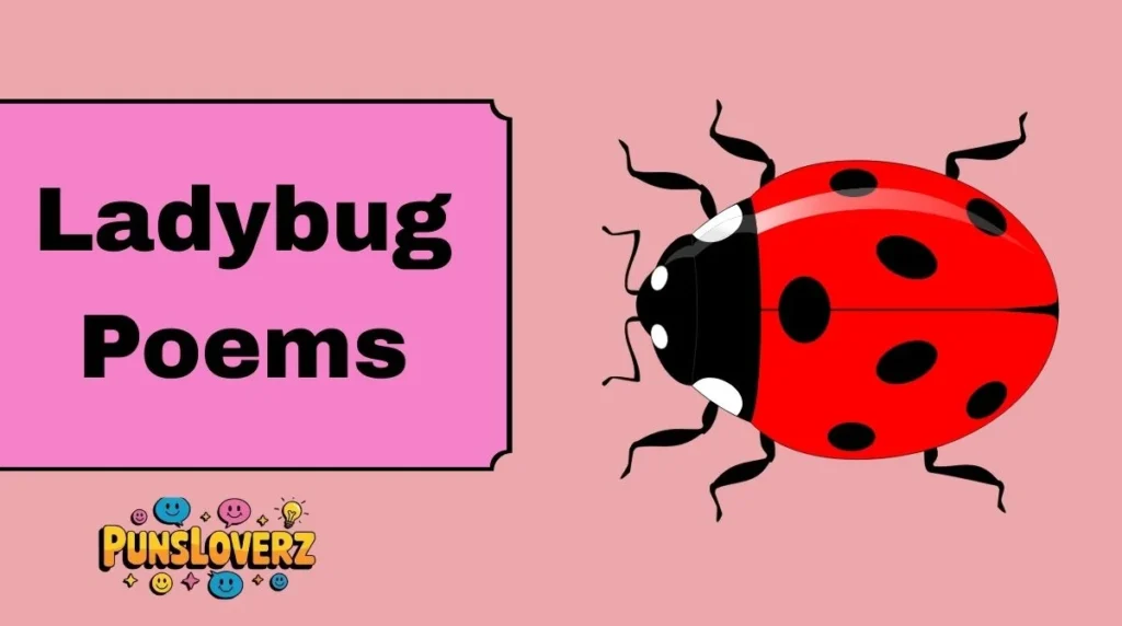 Ladybug Poems