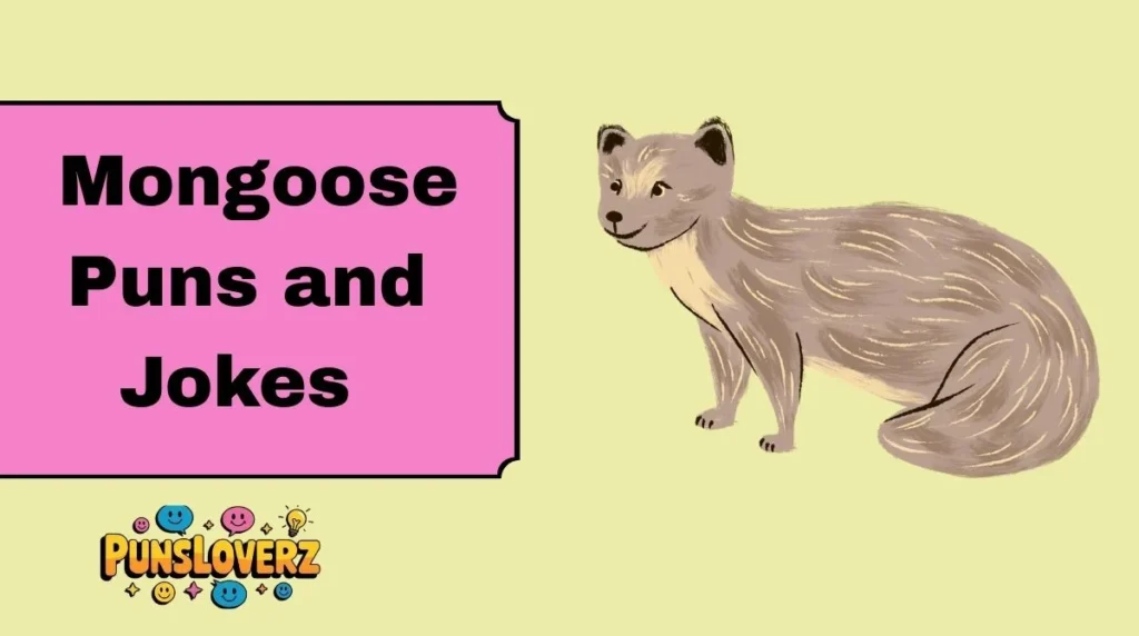 Mongoose Puns and Jokes