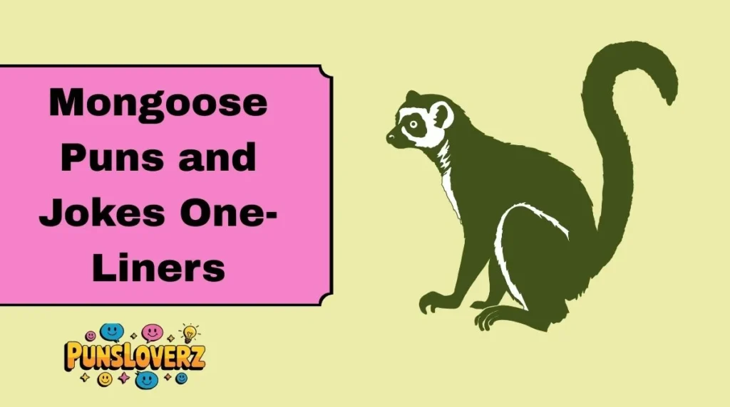 Mongoose Puns and Jokes One-Liners