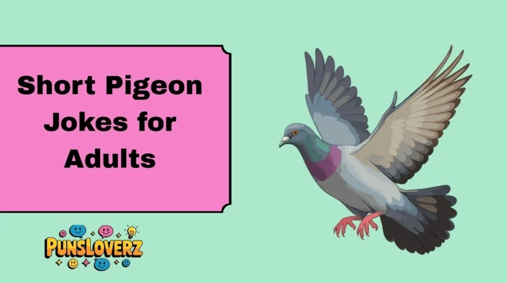Short Pigeon Jokes for Adults