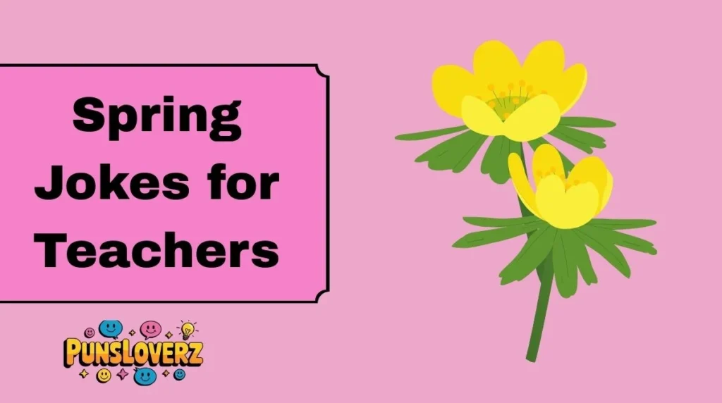 Spring Jokes for Teachers