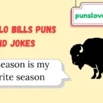Buffalo Bills Puns and Jokes