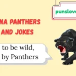 Carolina Panthers Puns and Jokes